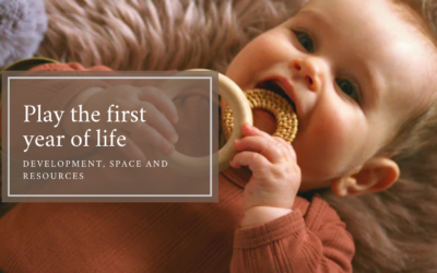 Play the first year of life: development, space and resources